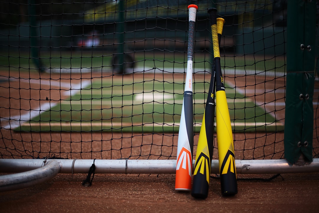 Photo Softball bat