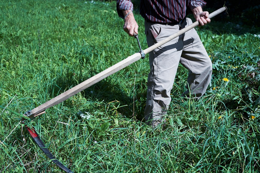 Photo Lawn, Rake